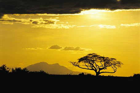 Kenia - powrót do źródeł