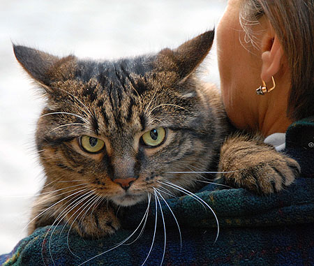 Kot ze swoją właścicielką przybyli do ojców franciszkanów w Przemyślu, na poświęceniu zwierząt w dniu, kiedy w Kościele wspominany jest św. Franciszek z Asyżu ustanowiony przez papieża Jana Pawła II patronem ekologii