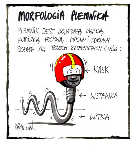 plemniki_krynicki450.jpeg
