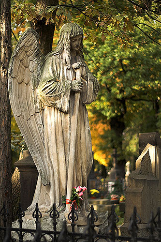 Jest w Polsce wiele cmentarzy, którą są nie tylko miejscem spoczynku zmarłych i refleksji żyjących krewnych. Cmentarzy z niezwykłym, niepowtarzalnym klimatem, które zachwycają swoją aurą, historią i wartością artystyczną. Jednym z nich jest niewątpliwie Cmentarz Rakowicki w Krakowie.