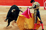 Corrida - tradycyjna walka z bykiem