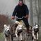 Agility – trening dla nas i naszego psa
