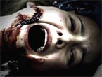 Blizna 3D (2007)
