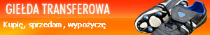 Baner