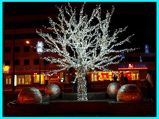 Iluminacje we Wroc�awiu - zdj�cia Internauty