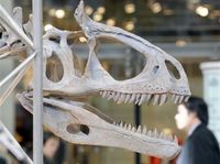 Dinozaury w Tokio
