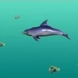 Odwa�ny delfin