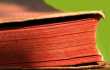 Z �ycia wzi�te,