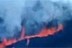 Zwierz�ta na Galapagos w niebezpiecze�stwie