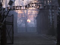 67 lat temu wyzwolono niemiecki ob�z Auschwitz