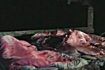 330 rannych, 40 tys. uszkodzonych dom�w - zobacz film