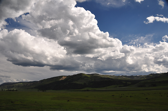 Yellowstone Bizony