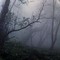Las Hoia Baciu - transylwa�ski Tr�jk�t Bermudzki 