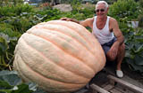 Półtonowy gigant