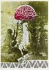 Offset, 70 x 50 cm
Courtesy of Museum Ludwig, K�ln
Dzie�o jest prezentowane podczas wystawy: ‘The Editions’