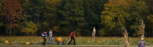 Rozpocz�li przygotowania do Halloween