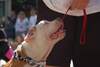 Ca�a prawda o psach mordecach