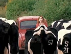 Leap Year (2010)