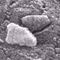 Jest �ycie na Marsie? �lady prymitywnego dawnego �ycia w meteorycie z Czerwonej Planety!