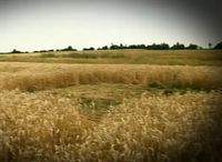 PP: Kr�gi w zbo�u pod Garwolinem