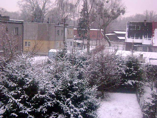 Piękna zima w Starogardzie Gdańskim