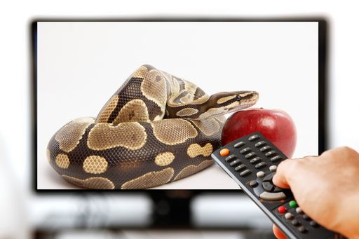 7 najwi�kszych k�amstw, kt�rymi nakarmi�y nas w tym roku media 