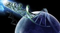 Obce geny w DNA cz�owieka
