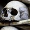 10 najstraszniejszych epidemii w historii 