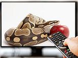 7 najwi�kszych k�amstw, kt�rymi nakarmi�y nas w tym roku media