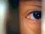 Matka (2009)