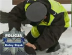 Zadzwo�, uratuj �ycie!
