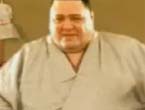 Zawodnik sumo gwiazdą Internetu