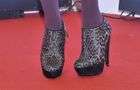 Drapie�na Horody�ska