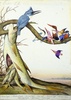 Baba - B.G., 1997
watercolor, gouache, ink and pencil on paper
105.1 x 74 cm
© Walton Ford, Courtesy Paul Kasmin Gallery
