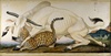 Chingado, 1998
Aquarell, Gouache, Tinte und Bleistift auf Papier
152.4 x 302.3 cm
© Walton Ford, Courtesy Paul Kasmin Gallery
