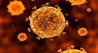 St�piony pazur HIV!
