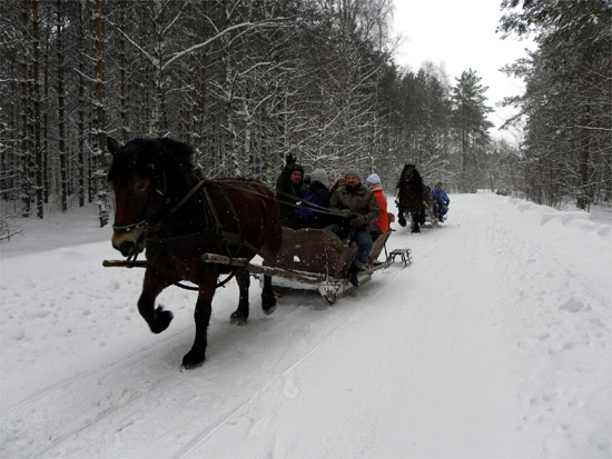 Kulig