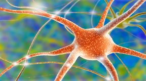 Tajemnicze neuroprzeka�niki