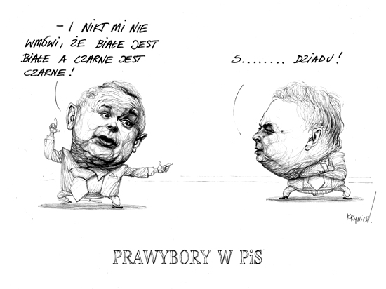 Prawybory w PiS?
