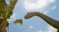 Dlaczego dinozaury by�y takie olbrzymie?