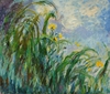 

Claude Monet
Iris amarillos, c. 1924-1925 (Iris jaunes)
�leo sobre lienzo 130 x 152 cm
Muse� Marmottan Monet, Par�s
Foto: Mus�e Marmottan Monet, Paris, France / Giraudon / The Bridgeman Art Library
Courtesy of Museo Thyssen-Bornemisza
Dzie�o jest prezentowane podczas wystawy: Monet and Abstraction


