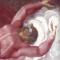 Kod Micha�a Anio�a. Czy w dzie�ach artysty zaszyfrowany jest tajemniczy przekaz?