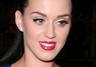 Katy Perry seksownym kibicem - FOTO