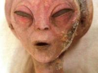 "UFO-k�amcy". Kto zarabia na kosmitach?