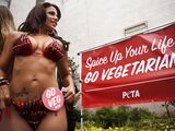 Seksowne Veggie Dogi