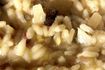 Risotto. Jedzmy ry�!
