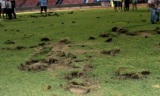 Inteligenci z Panioniosu rozwalili sw�j stadion