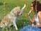 10 powod�w, dla kt�rych warto mie� psa
