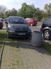 Warsiawiak