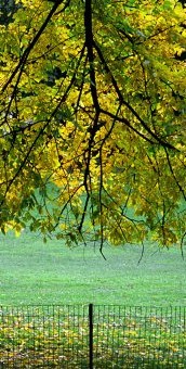 Fotocolage - Nowy Jork 